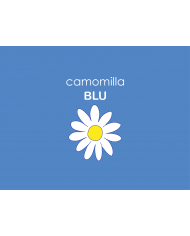 CAMOMILA BLU