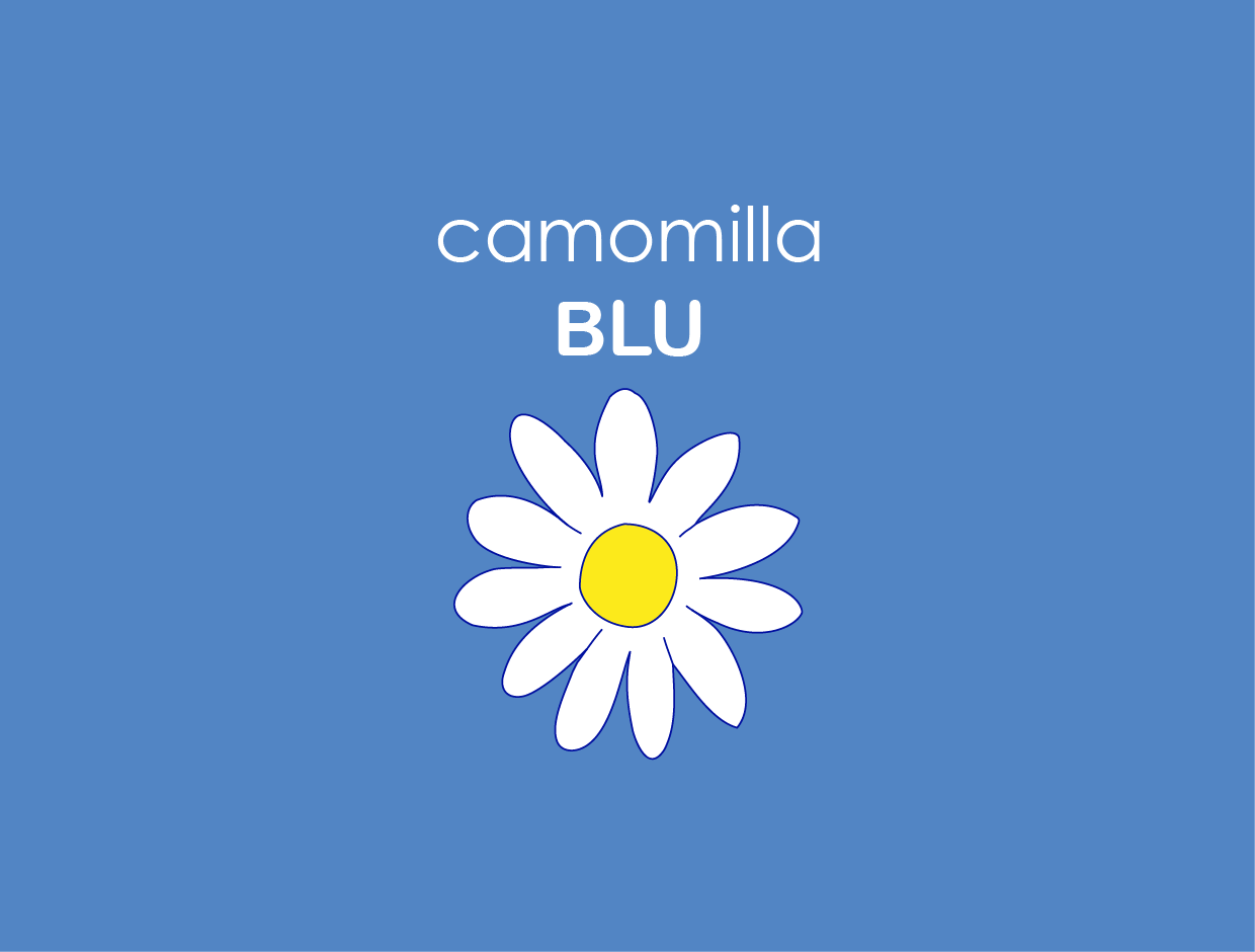 CAMOMILA BLU